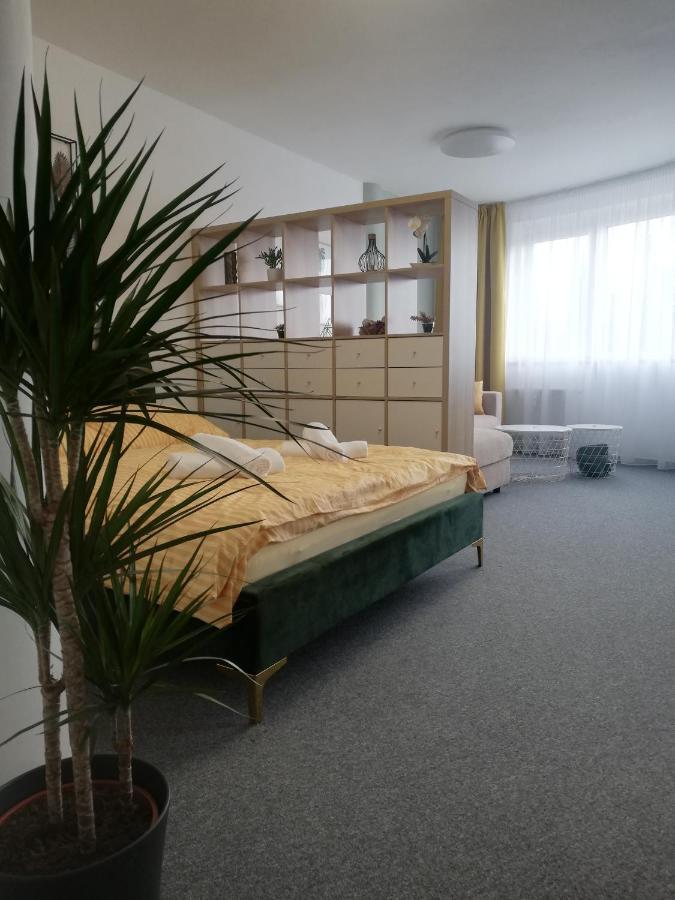 Apartment Mymara No3 เบเชนยอวา ภายนอก รูปภาพ